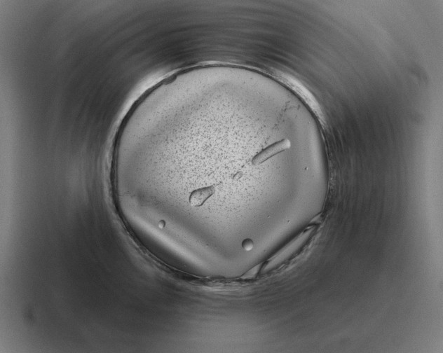 X0000116811146200912311950