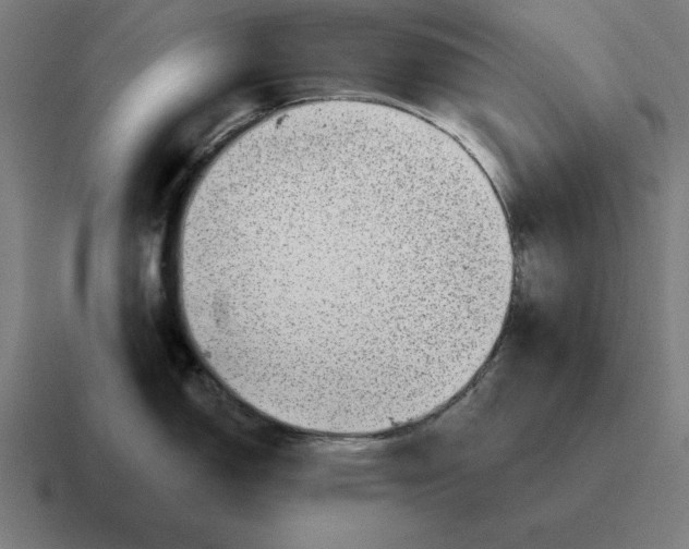 X0000116811150200912311951