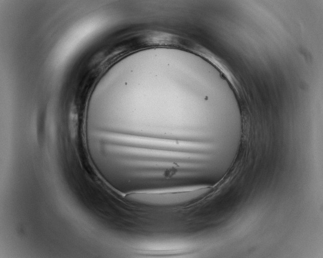 X0000116811151200912311951