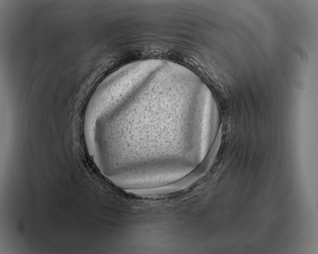 X0000116811153200912311950