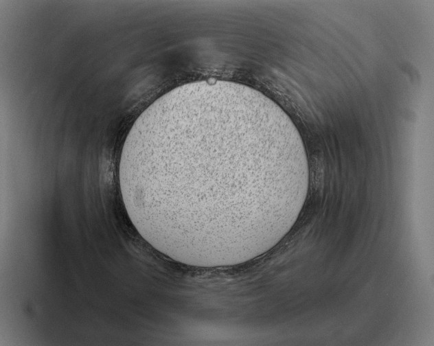 X0000116811154200912311950