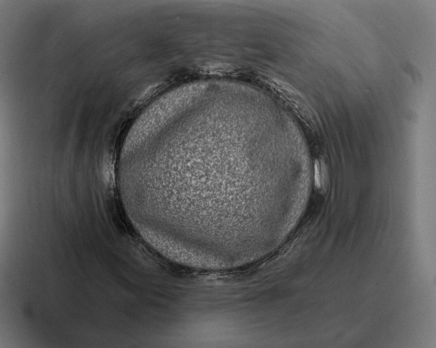 X0000116811155200912311950