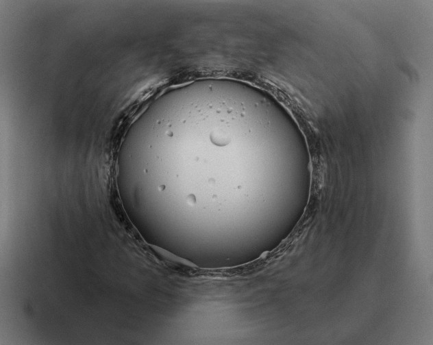 X0000116811157200912311950