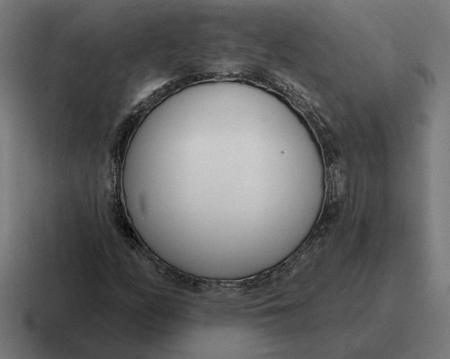 X0000116811158200912311950