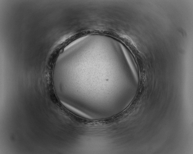 X0000116811159200912311950