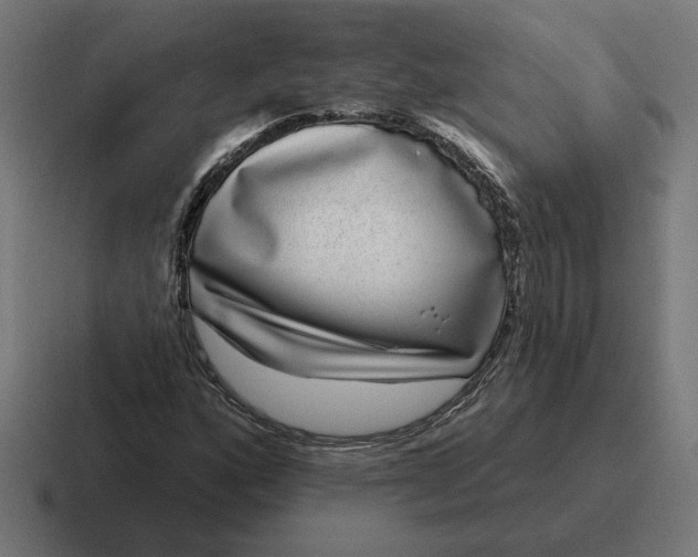 X0000116811160200912311950