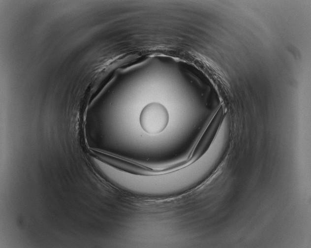 X0000116811161200912311950