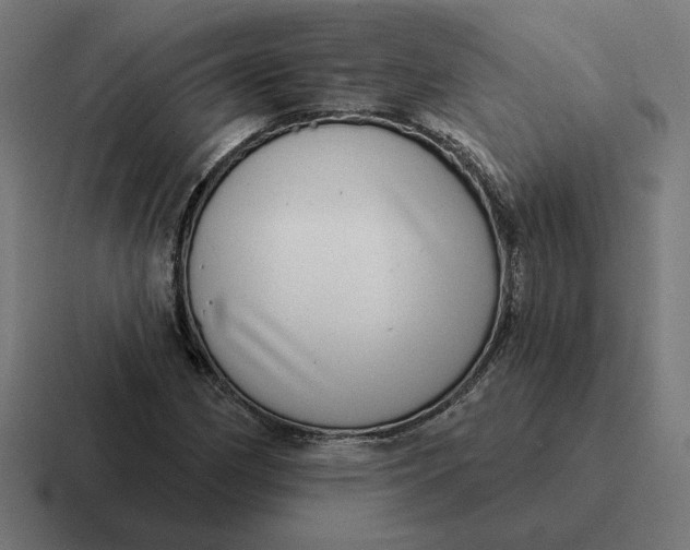 X0000116811162200912311950