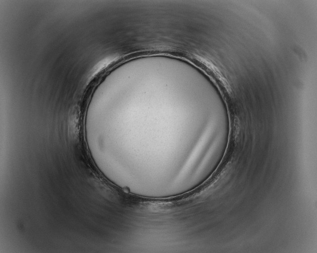 X0000116811163200912311950