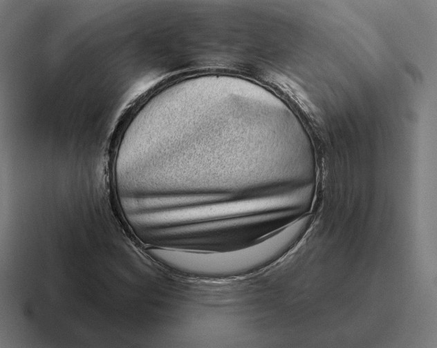 X0000116811164200912311950