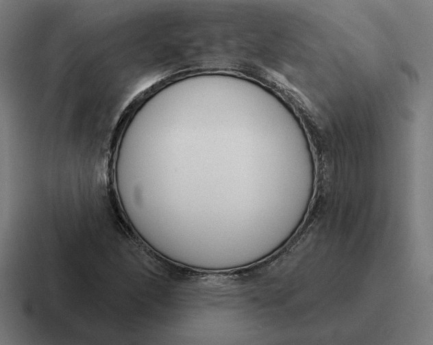 X0000116811166200912311950