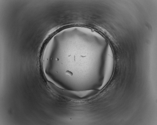 X0000116811168200912311950