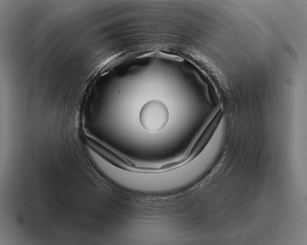 X0000116811169200912311950