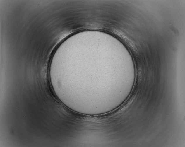 X0000116811170200912311950