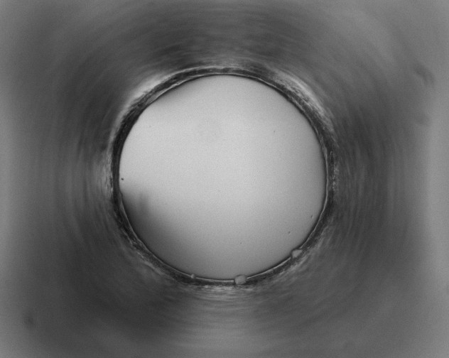 X0000116811172200912311950