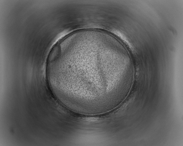 X0000116811173200912311950