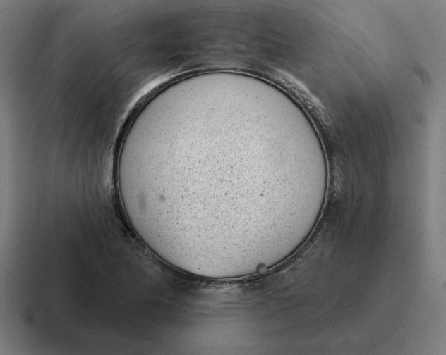 X0000116811174200912311950