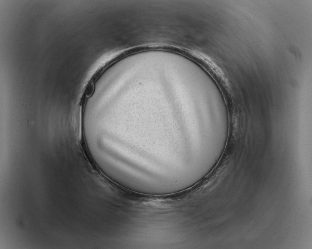 X0000116811175200912311950