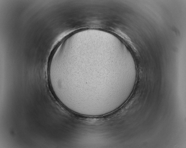 X0000116811176200912311950