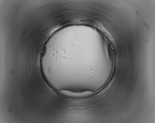 X0000116811177200912311950