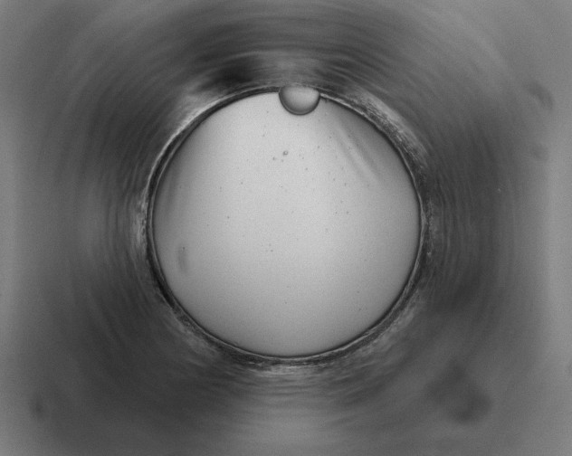 X0000116811178200912311950