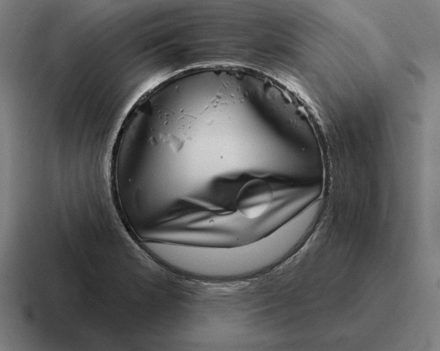 X0000116811181200912311950