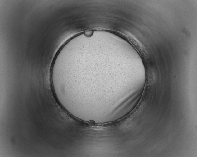 X0000116811182200912311950