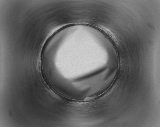 X0000116811184200912311950