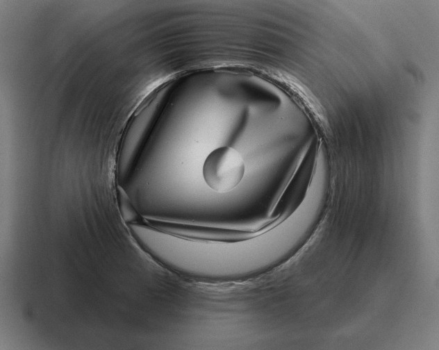 X0000116811185200912311950