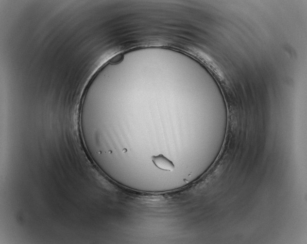 X0000116811186200912311950