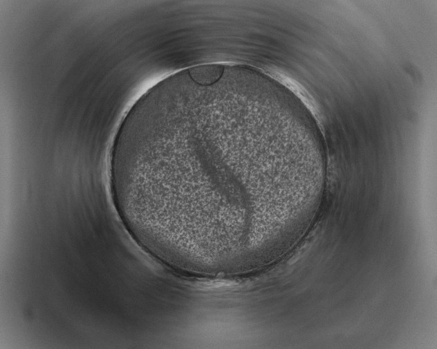 X0000116811187200912311950