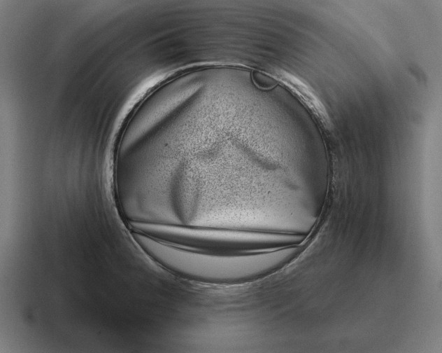 X0000116811188200912311949