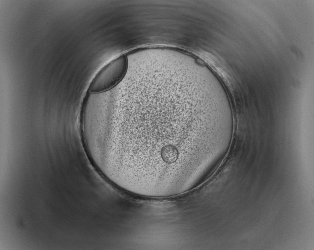 X0000116811189200912311949