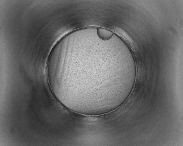 X0000116811190200912311949