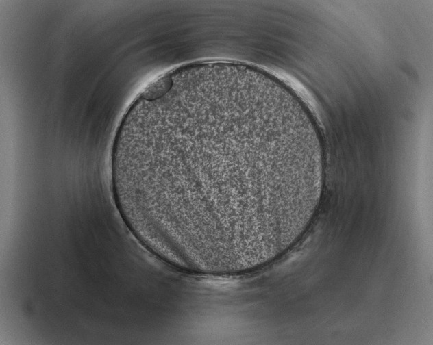 X0000116811191200912311949