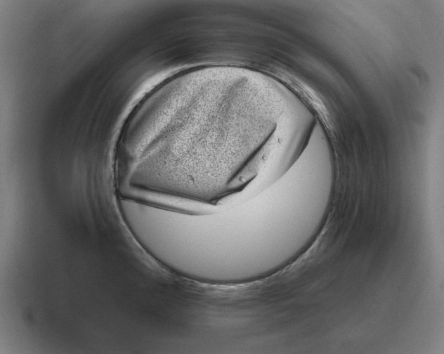 X0000116811192200912311949