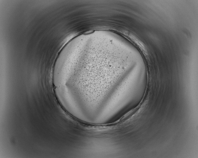 X0000116811193200912311949