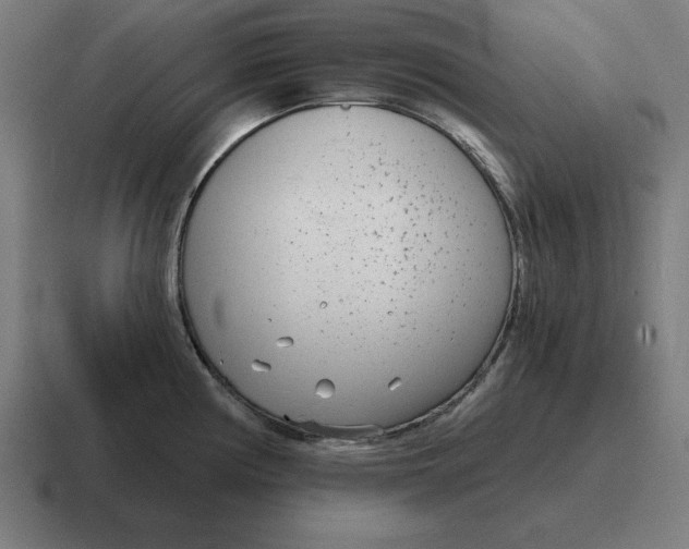 X0000116811194200912311949