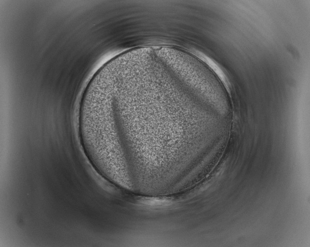 X0000116811195200912311949