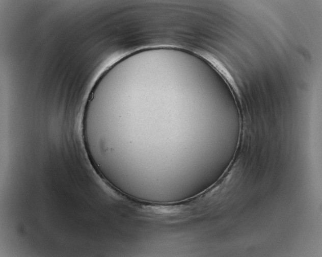 X0000116811197200912311949