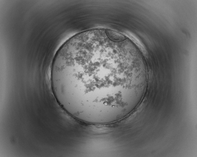 X0000116811198200912311949