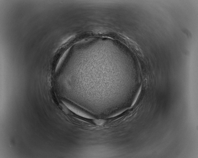 X0000116811205200912311949