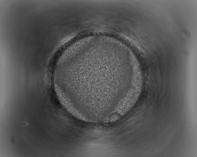 X0000116811207200912311949