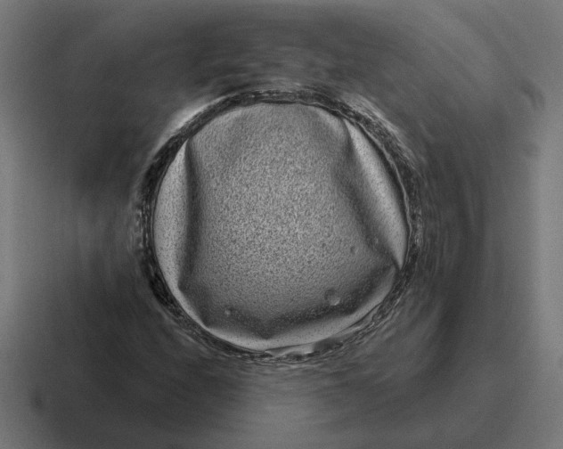 X0000116811208200912311949