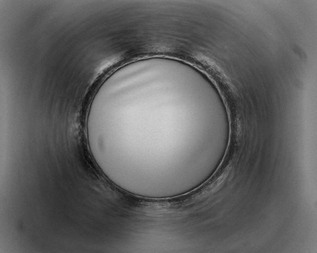 X0000116811210200912311949