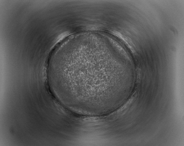 X0000116811211200912311949