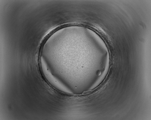 X0000116811216200912311949