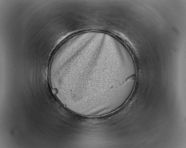 X0000116811220200912311949