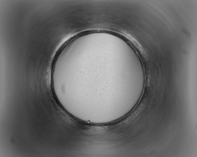 X0000116811224200912311949