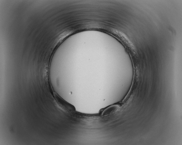 X0000116811225200912311949